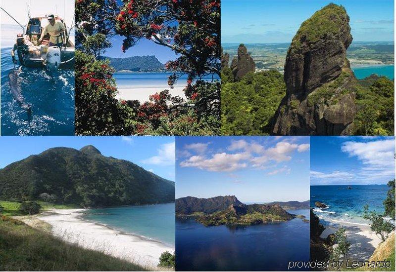 Cherry Court Motor Lodge Whangarei Bagian luar foto